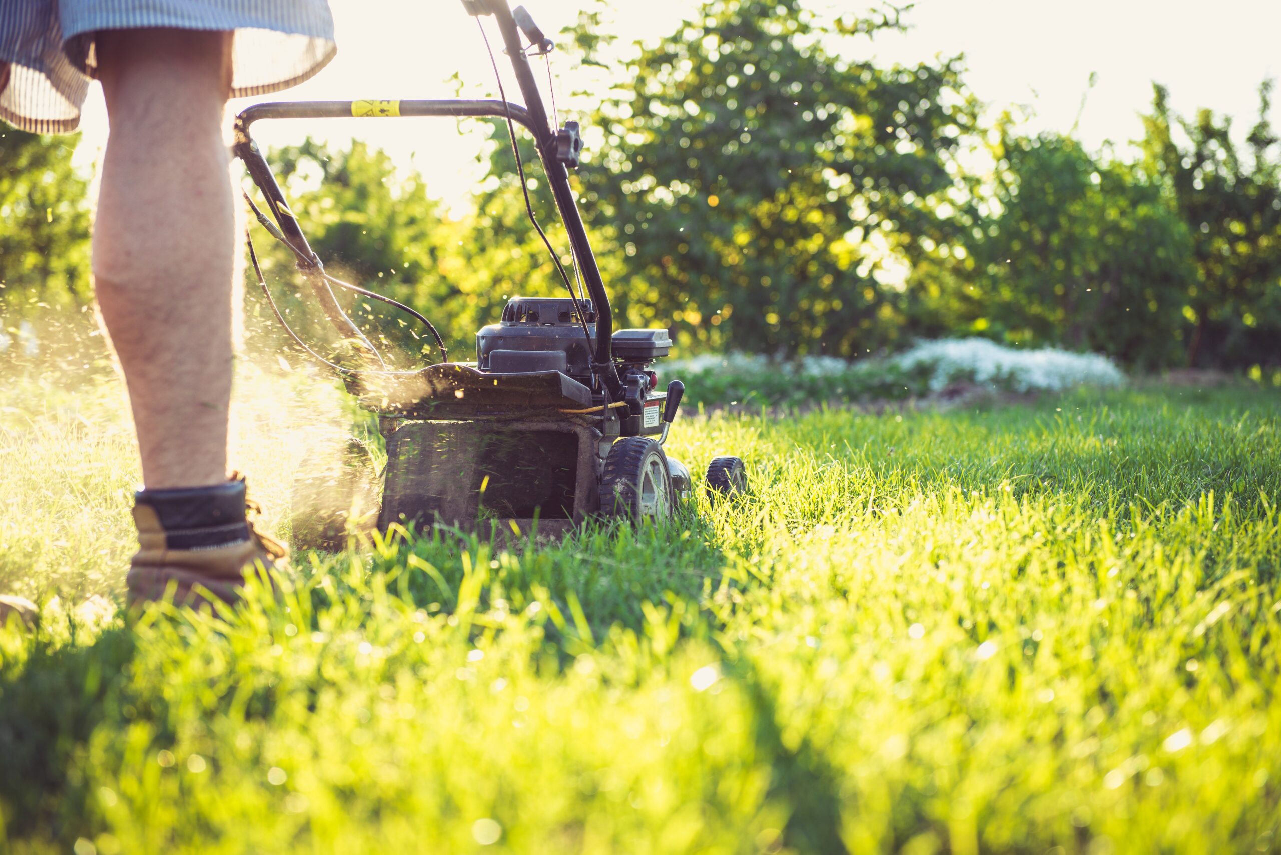 best-lawn-mower-for-bermuda-grass-natural-greenery