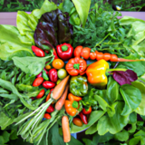 What Are The Best Vegetables To Grow In Raised Garden Beds?